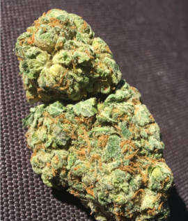 Agent Orange Strain