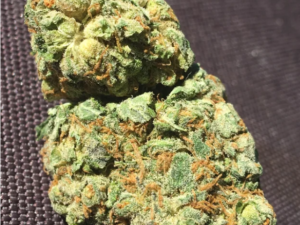 Agent Orange Strain