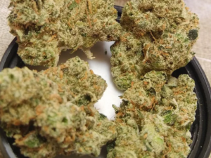 Alien OG Strain