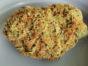 Amnesia Haze