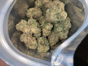 Arizonan Western Light Purp Strain