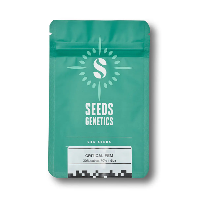 CBD Critical feminized - Image 2