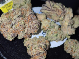 Candyland Strain