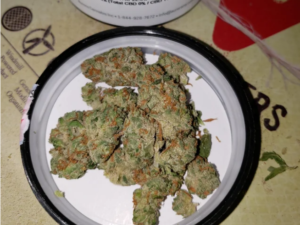 Chocolope Strain