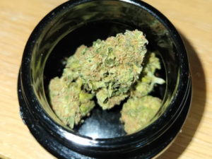 G13 Haze