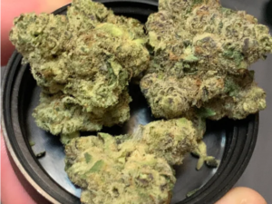 Gelato Strain