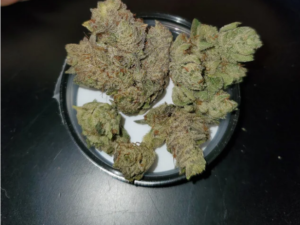 Girl Scout Cookies Strain