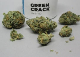 God's Green Crack Strain