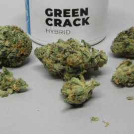 God's Green Crack Strain