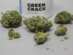 God's Green Crack Strain