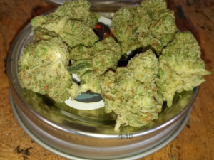 Gorilla Glue Strain
