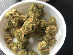 Great White Shark Strain