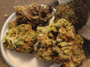 Green Dragon Strain
