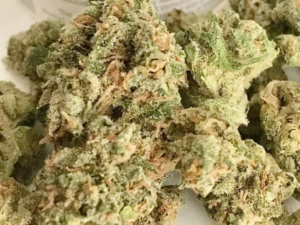 Holy Grail Kush