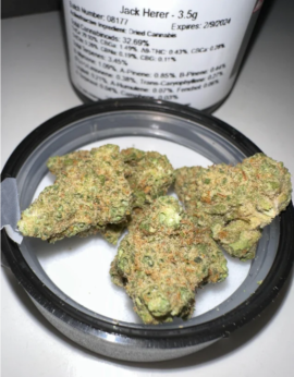 Jack Herer Strain