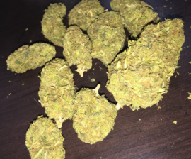 Jedi Kush Strain