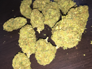 Jedi Kush Strain