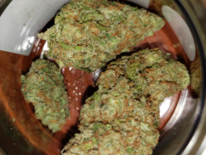 Juicy Jack Strain