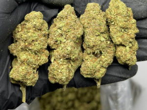 Kandy Kush Strain