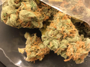 King Kong Kush