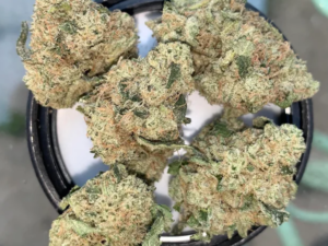 Kosher Kush Strain