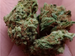 Moolah Strain