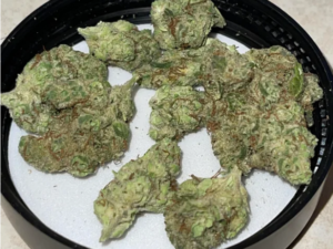NYC Diesel Strain