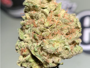 Northern Lights Strain
