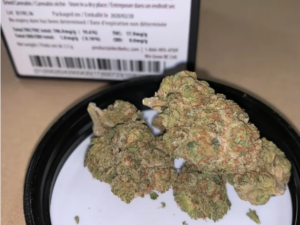 Premium OG Kush