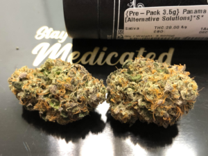 Panama Red Strain