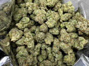 Pure Kush Strain