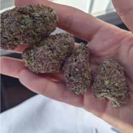 Purple Crack Strain