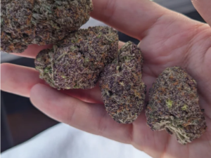 Purple Crack Strain