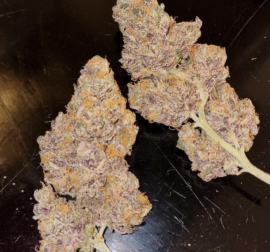 Purple Dream Strain