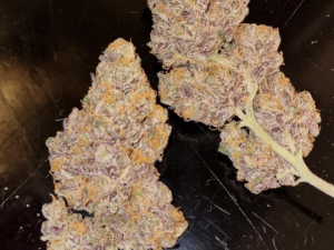 Purple Dream Strain