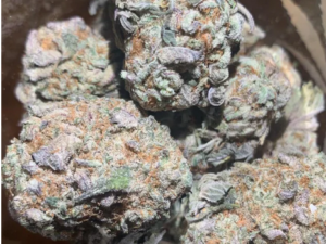 Platinum Purple Kush