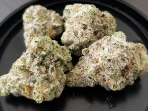 Purple Punch Strain