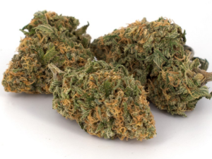 Rockstar OG Strain