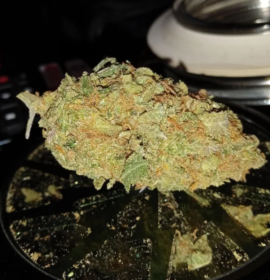 Big Skunk Korean Strain