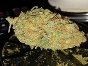 Big Skunk Korean Strain