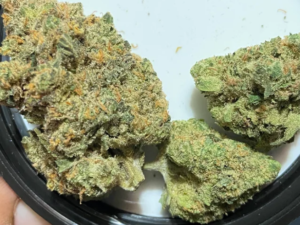 Sour Diesel Strain
