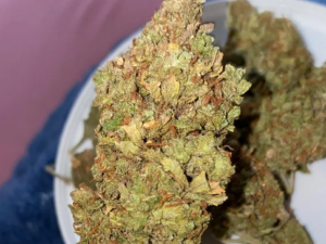 Tangerine Dream Strain