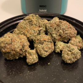 Wedding Crasher Strain