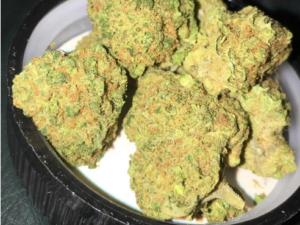 White Widow Strain