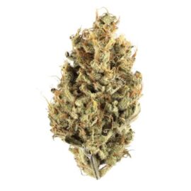 Afghani Hawaiian Strain