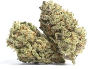 Asteroid OG Strain